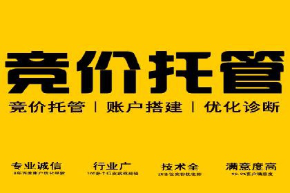 SEM代运营服务公司案例分析：提升广告效果